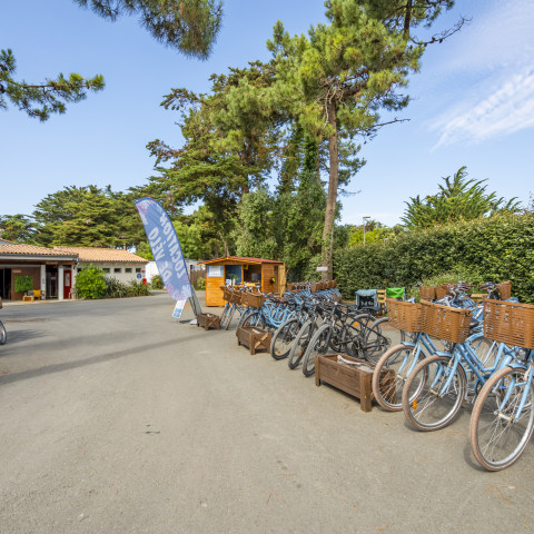 Bike rental Île de Ré