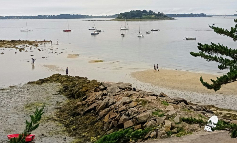 Réserve Naturelle de Lilleau des Niges