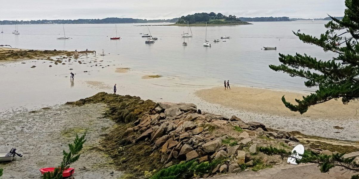 Réserve Naturelle de Lilleau des Niges