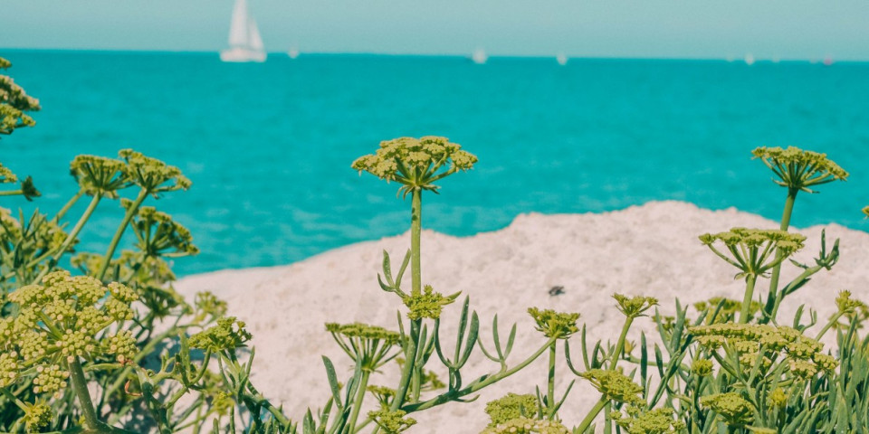 Les marées à l'île de Ré