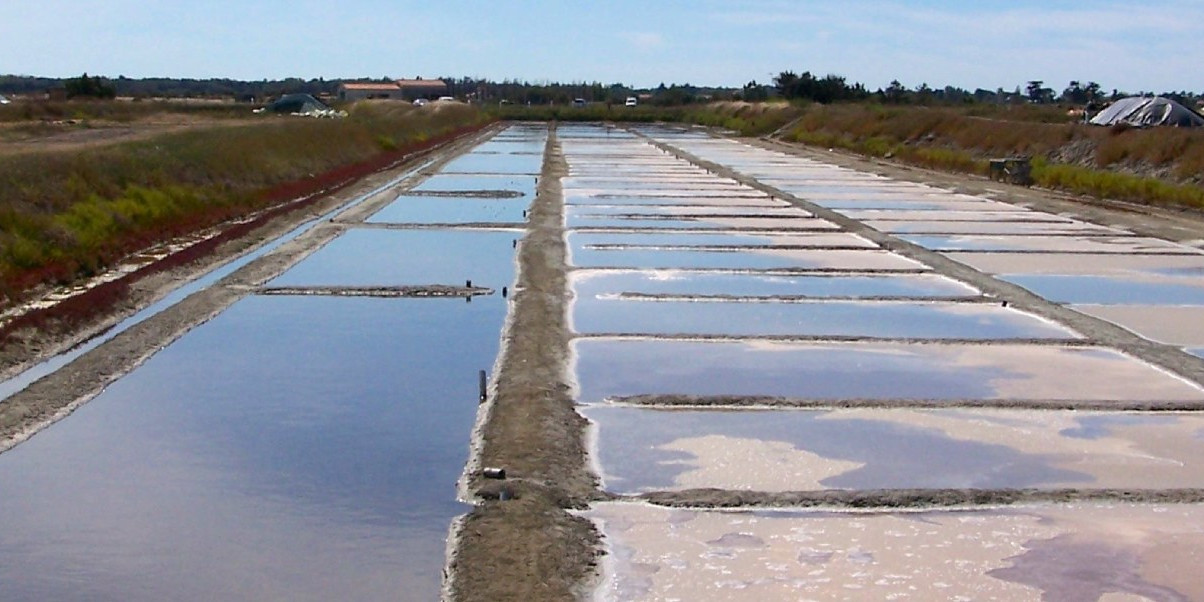 Marais salants de l'Île de Ré