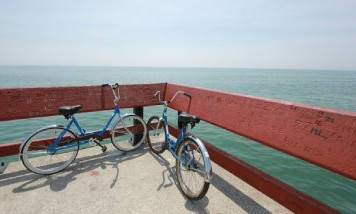 Vélo à La Couarde-sur-Mer